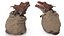 Dragon Head in Bag
