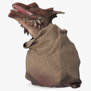 Dragon Head in Bag