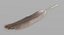 Feather