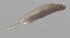Feather