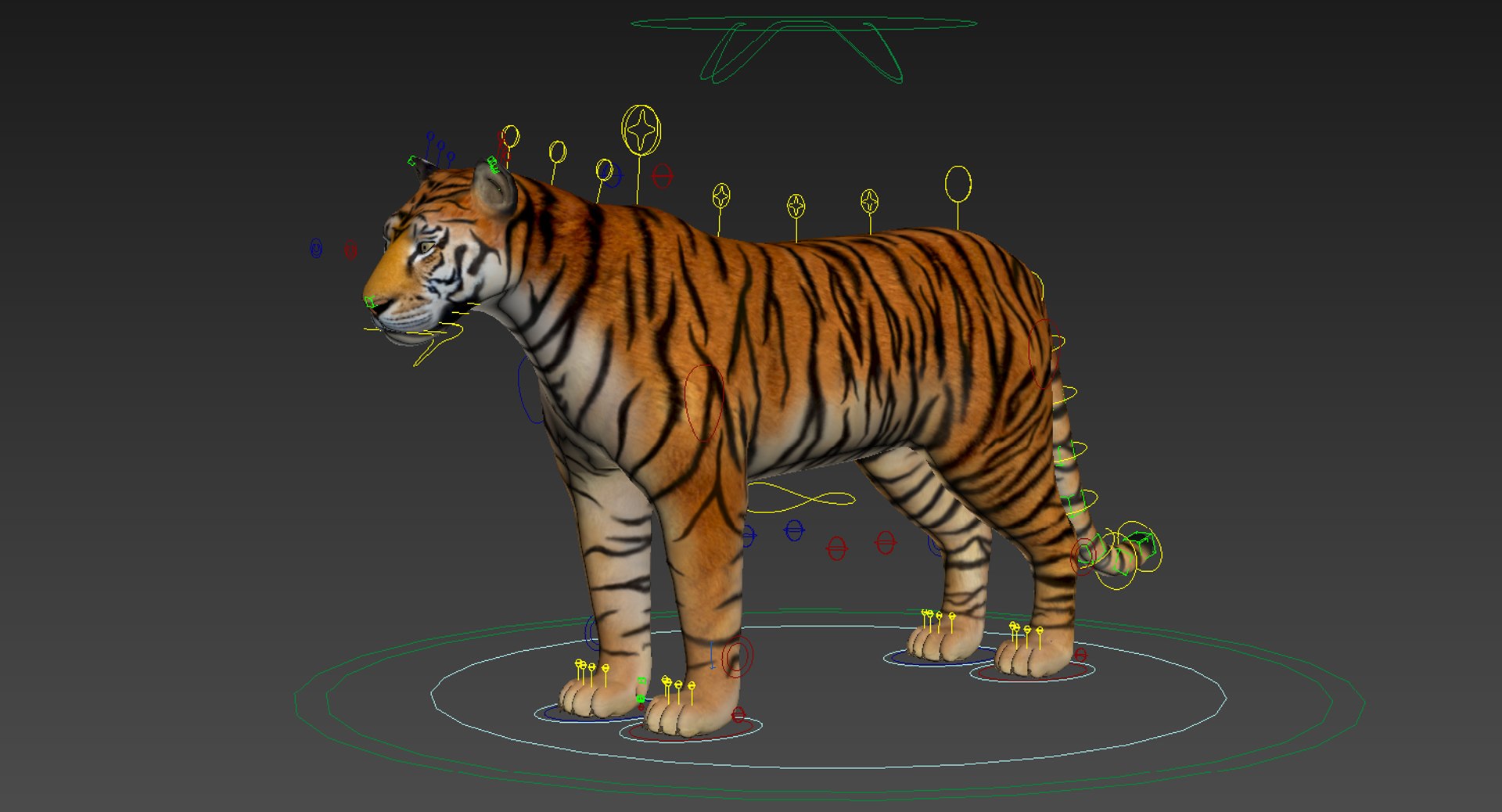 3D tiger fur rigged - TurboSquid 1201351