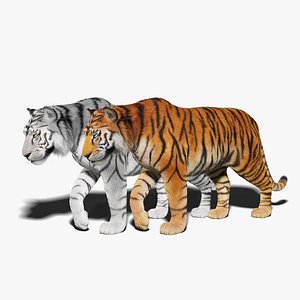 3D tiger fur rigged