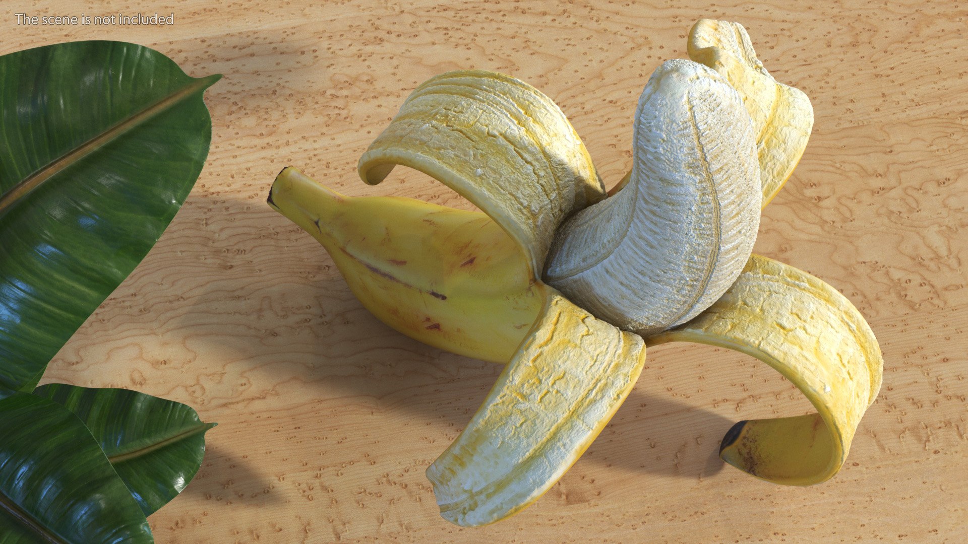 Peeled Banana With Brown Flecks 3D model https://p.turbosquid.com/ts-thumb/p0/WxhtUw/JC/peeledbananawithbrownflecksvray3dmodel006/jpg/1670814593/1920x1080/fit_q87/33f3dda23957e0e9d07a281d4b97906769980f80/peeledbananawithbrownflecksvray3dmodel006.jpg