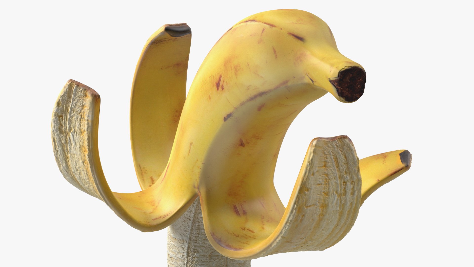 Peeled Banana With Brown Flecks 3D model https://p.turbosquid.com/ts-thumb/p0/WxhtUw/ev/peeledbananawithbrownflecksvray3dmodel016/jpg/1670814623/1920x1080/fit_q87/701d4dfb33f25385ddcdf1e649bd9e0bd7198795/peeledbananawithbrownflecksvray3dmodel016.jpg