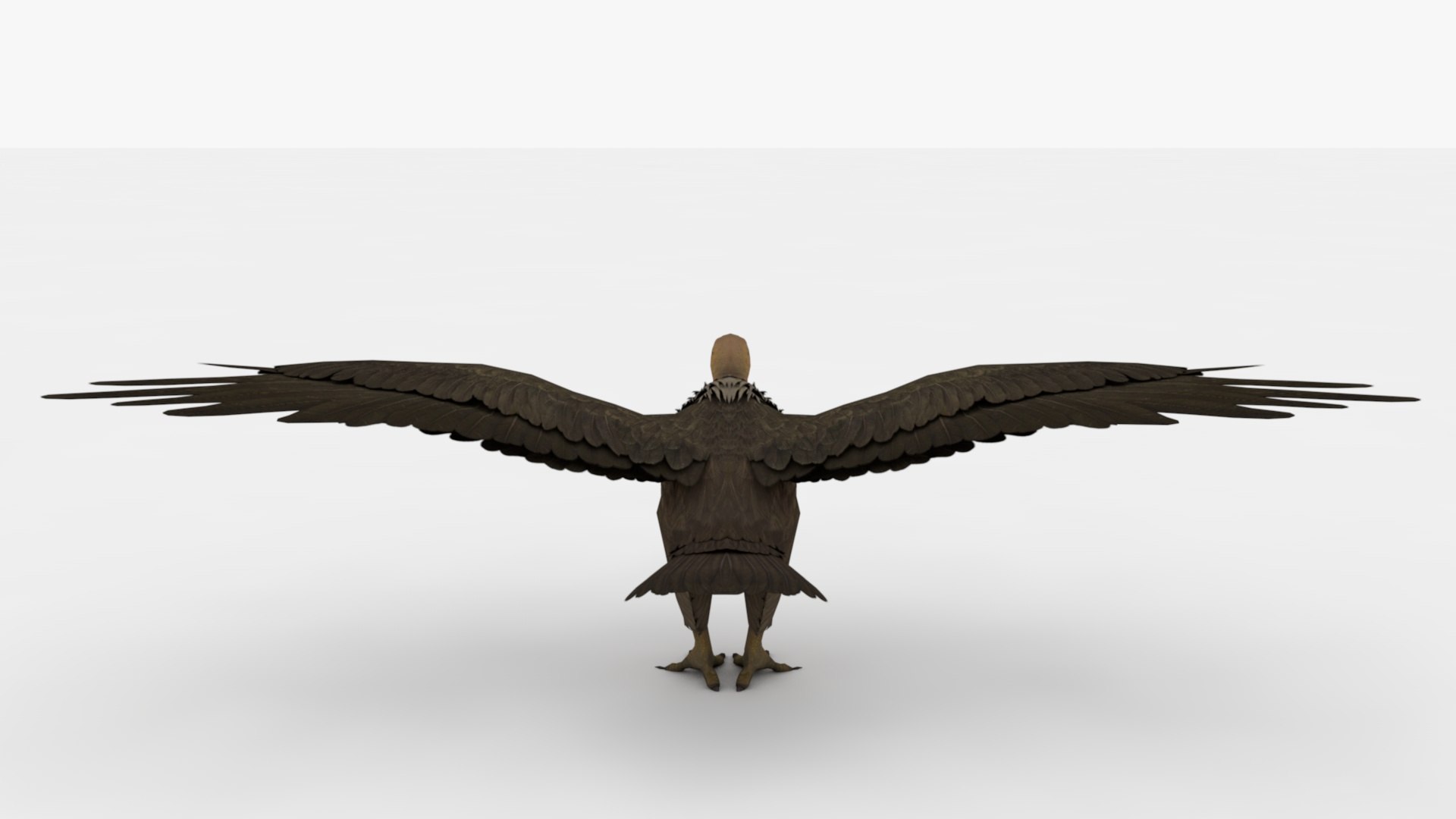 Buzzard 3D Model - TurboSquid 2345230