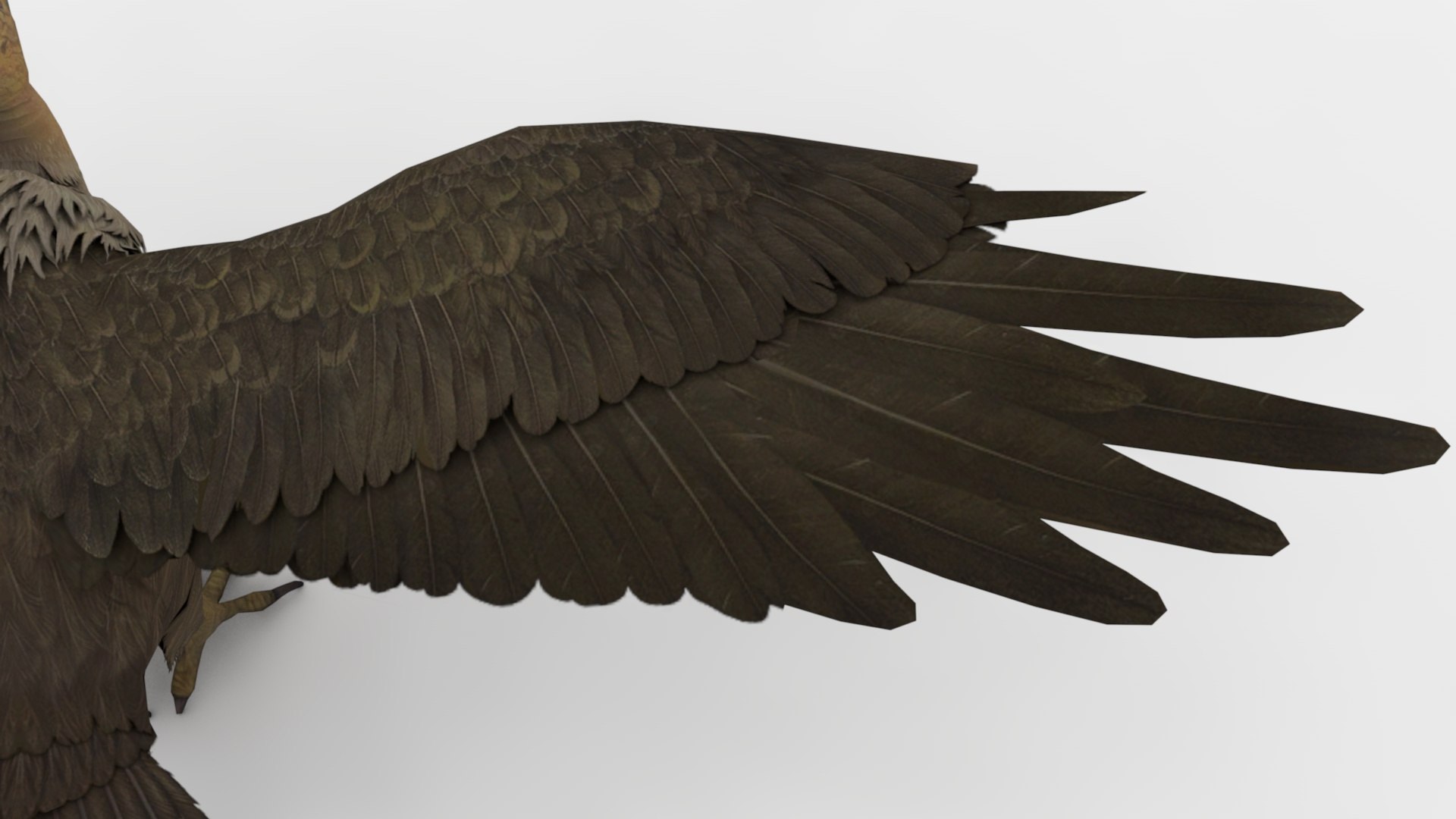 Buzzard 3D Model - TurboSquid 2345230