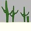 Cactus low-poly