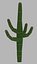 Cactus low-poly
