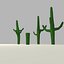Cactus low-poly