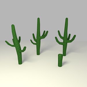 Cactus low-poly