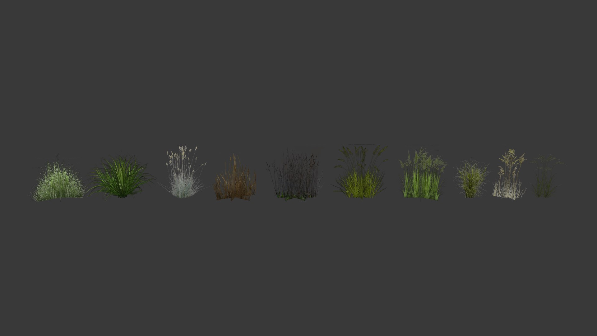 grass plant model https://p.turbosquid.com/ts-thumb/p0/iySLEH/v6io2FmG/render3/png/1546627237/1920x1080/fit_q87/6cf568d158dacac6dee5ea3a33307ad764727791/render3.jpg