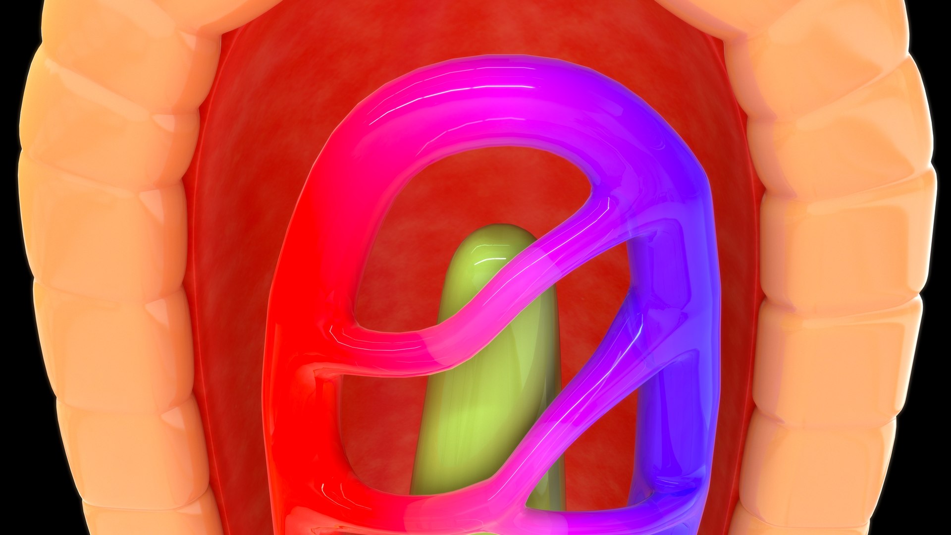 Villi Cross Section Model - TurboSquid 2189284
