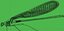 damselfly wings animal model