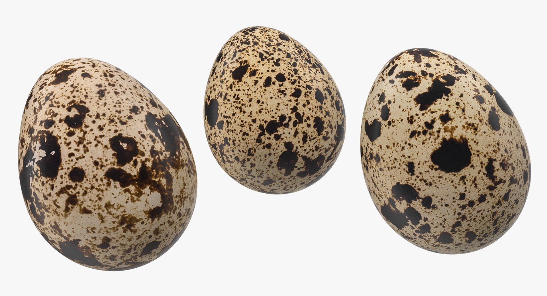 quail eggs open box model https://p.turbosquid.com/ts-thumb/p0/zf3zQL/Lx7zCtVt/quaileggsinopenbox3dsmodel012/jpg/1551875599/1920x1080/fit_q87/bcfb14259f4b4251c77b96530c6f6acd2aa051f6/quaileggsinopenbox3dsmodel012.jpg