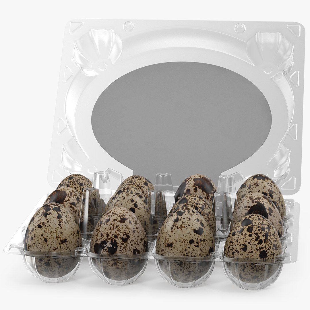 quail eggs open box model https://p.turbosquid.com/ts-thumb/p0/zf3zQL/sZ/quail_eggs_in_open_box_001/jpg/1646904402/1920x1080/fit_q87/9afe9493679e48275740ca71c24cc2eb55a439bd/quail_eggs_in_open_box_001.jpg