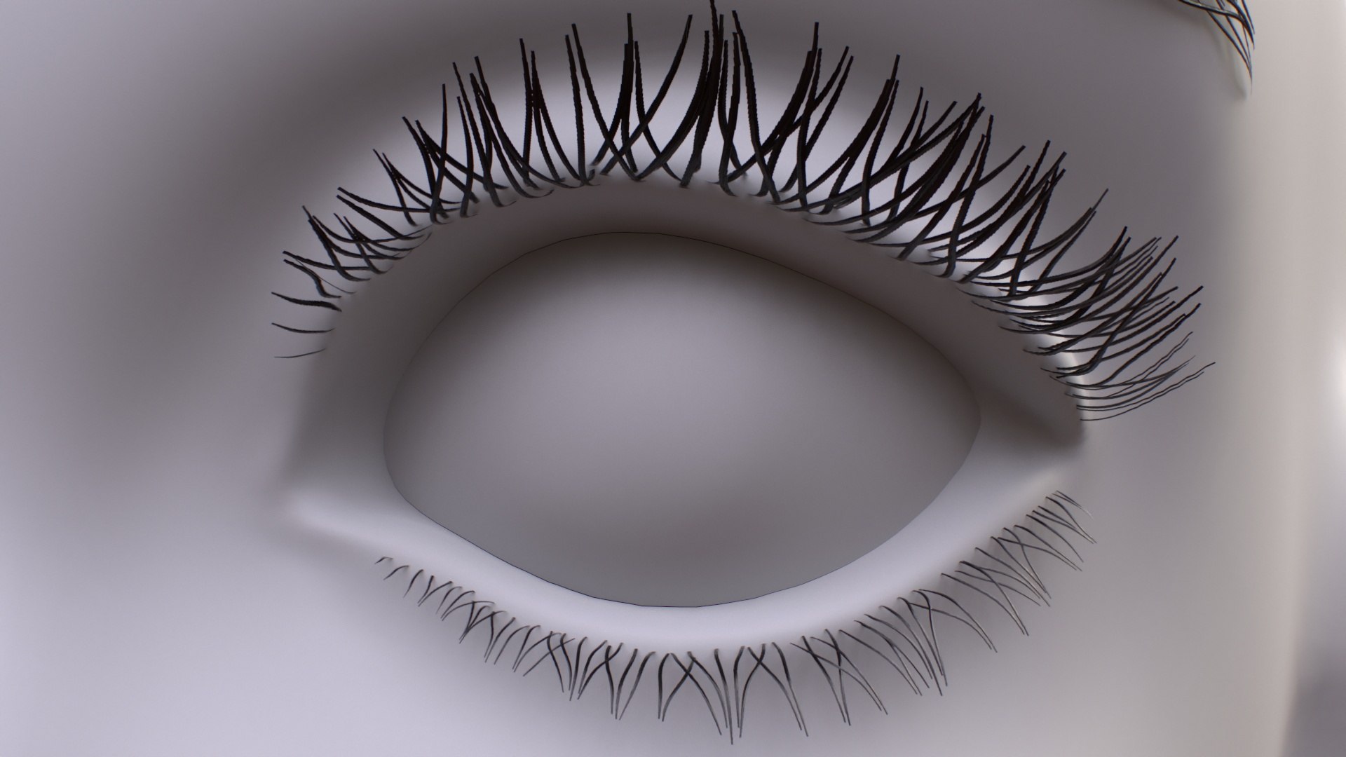 Girl Eyebrows Eyelashes 3d Model Turbosquid 1912805 Girl Eyebrows Eyelashes 3d Model Turbosquid 1912805