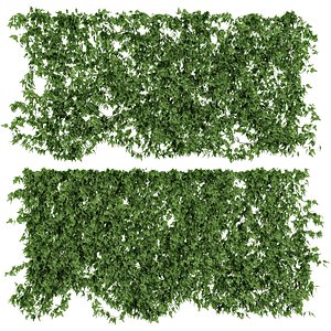 wall vine leaves 3d max