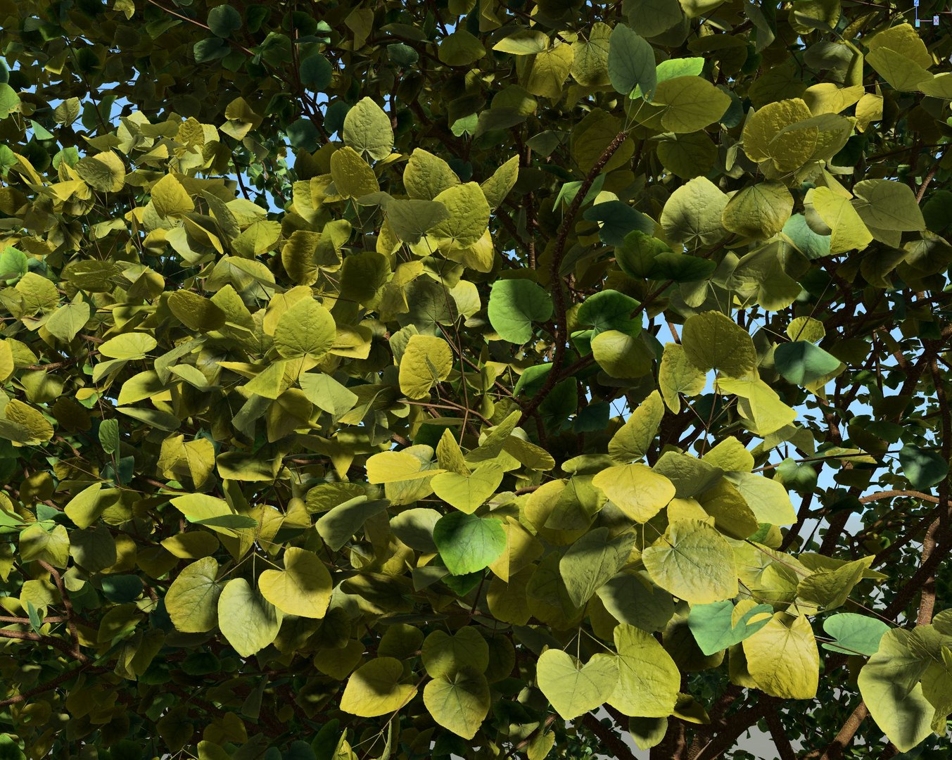 tree wind animation 3D model https://p.turbosquid.com/ts-thumb/p1/8qBHKF/erFdKGvm/preview04/jpg/1603300886/1920x1080/fit_q87/c258c022c121e54204673b12e8316f1caa11ba5d/preview04.jpg