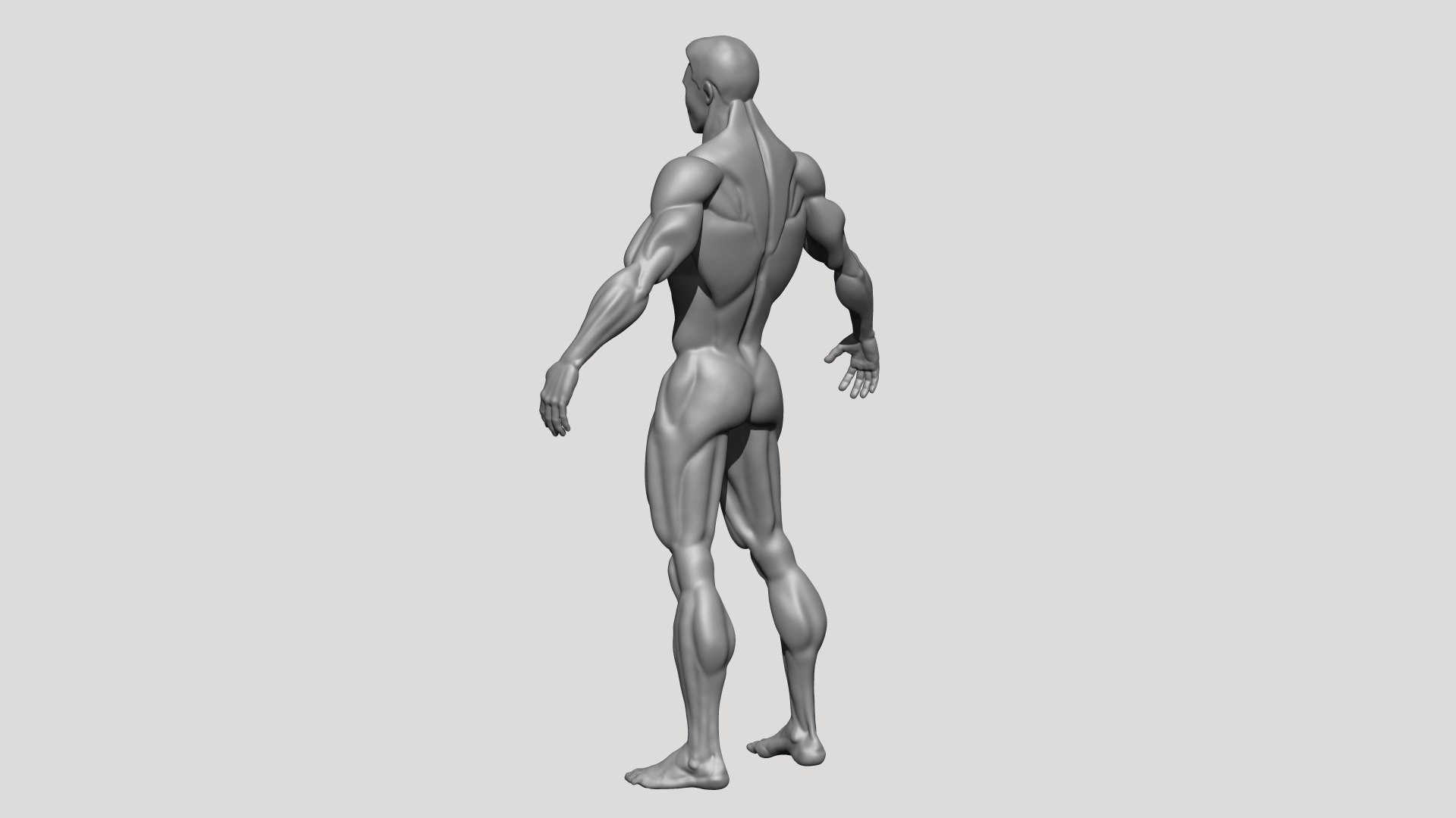 Stylized MMA Fighter 3D model https://p.turbosquid.com/ts-thumb/p1/9wR8mC/Nu/29/jpg/1734804925/1920x1080/fit_q87/913880e586ad5bc74982a66c3d7852bdf989c245/29.jpg