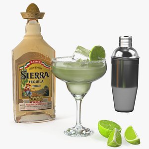 Margarita Cocktail Glass with Bottle
