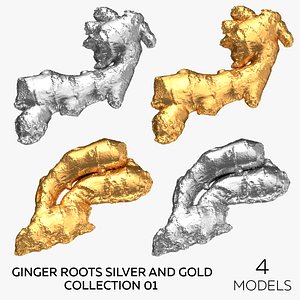 Ginger Roots Silver and Gold Collection 01 - 4 models 3D model