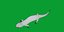 3D model Salamander