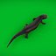 3D model Salamander