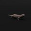 3D model Salamander