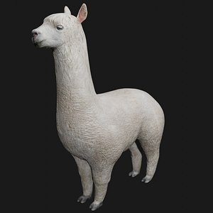 3D alpaca rigged