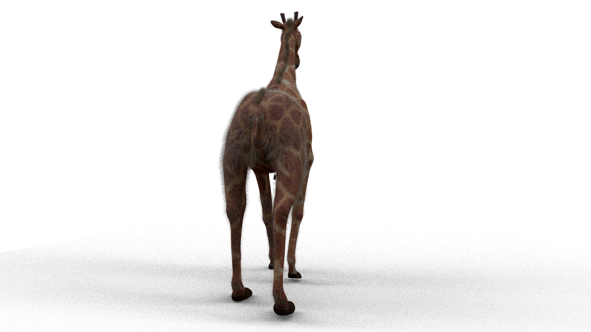 3D Model Rigged Giraffe - TurboSquid 1256098