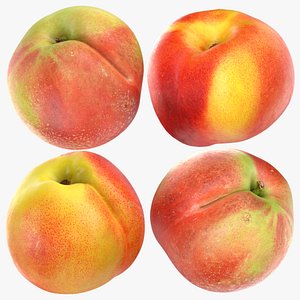 Nectarine - 3D Scanned Collection