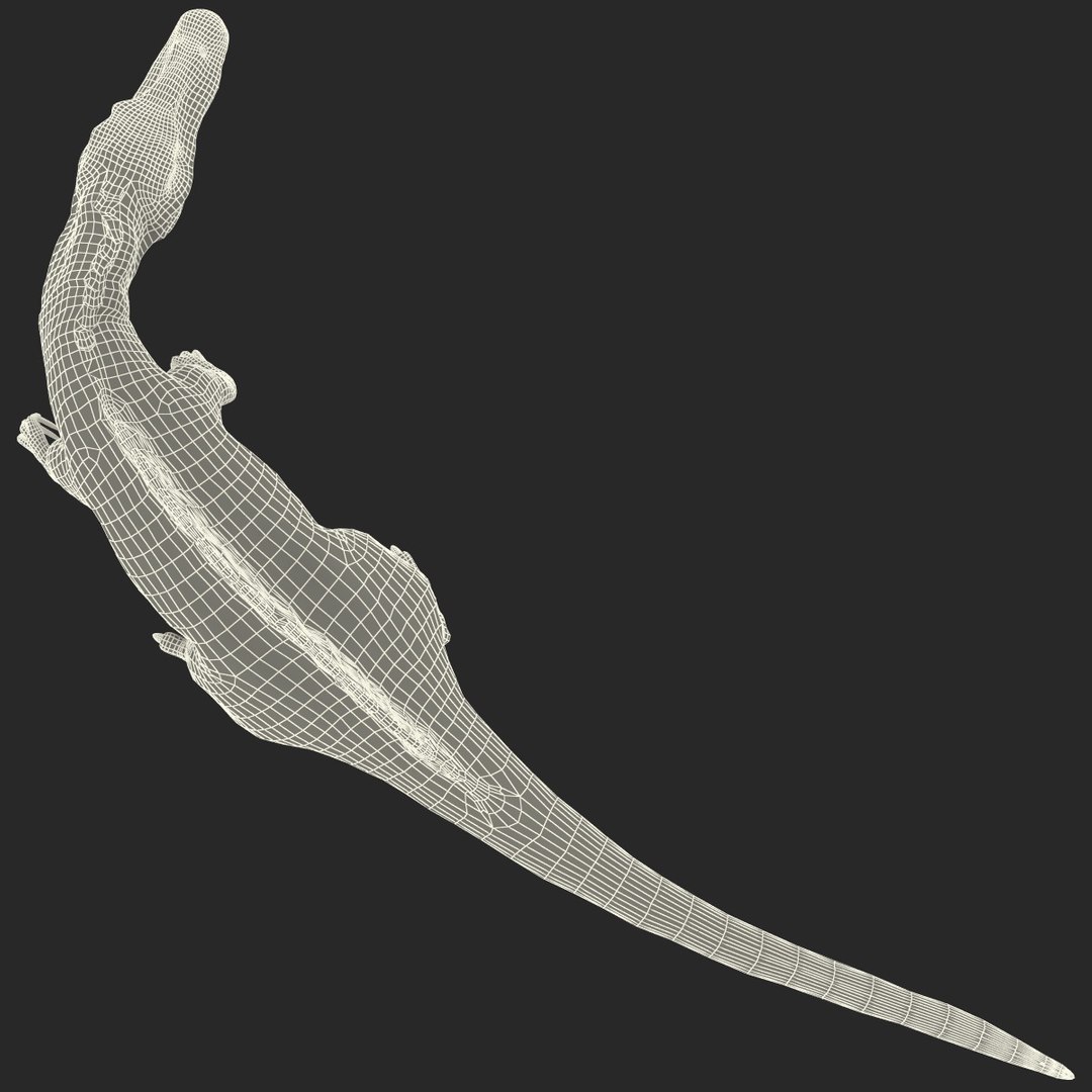 3d spinosaurus prehistoric modelled model https://p.turbosquid.com/ts-thumb/p1/SDncpd/0K98oXLK/174565_spinosaurus_pose_1_g_007/jpg/1366893389/1920x1080/fit_q87/91cceb5b6e35872bf63ef725c602a2c27277fe2e/174565_spinosaurus_pose_1_g_007.jpg