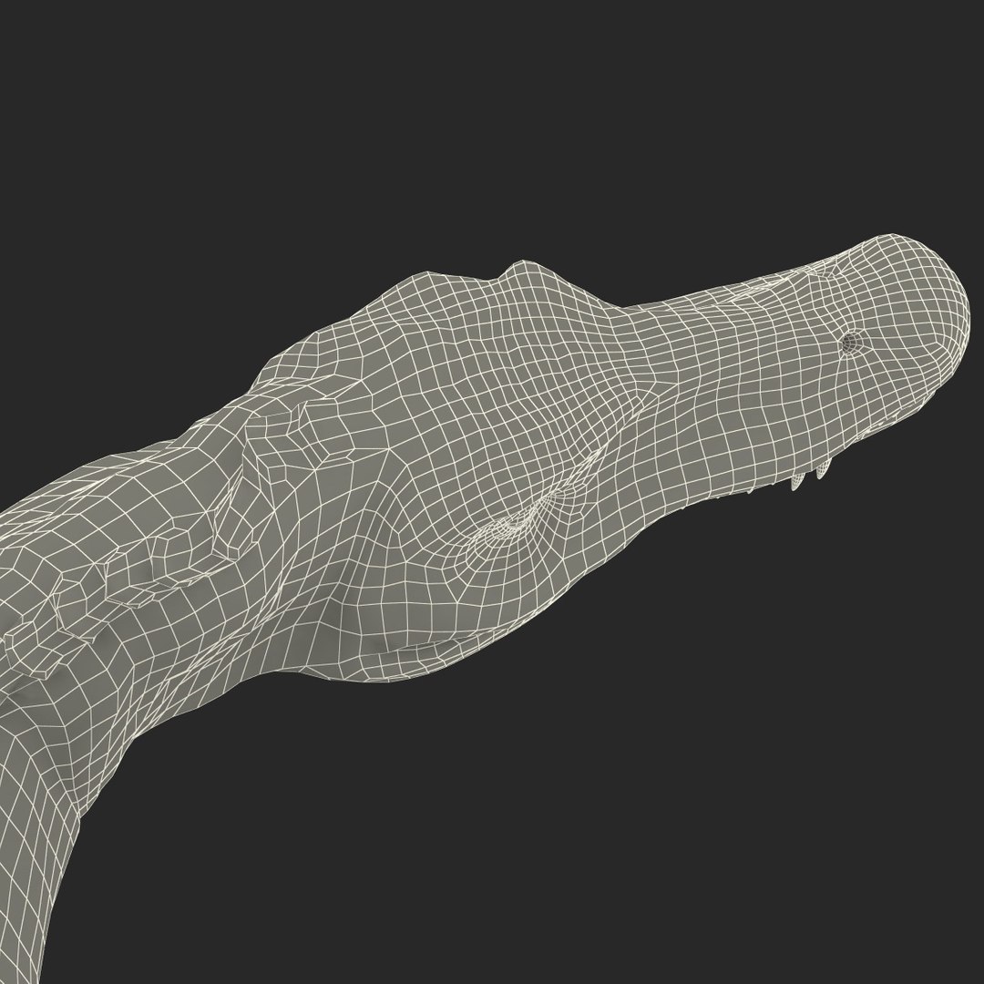 3d spinosaurus prehistoric modelled model https://p.turbosquid.com/ts-thumb/p1/SDncpd/esudBW93/174571_spinosaurus_pose_1_g_013/jpg/1366893378/1920x1080/fit_q87/afa2f9c9ffbdfa8ebe3939865d7e7b41954240f6/174571_spinosaurus_pose_1_g_013.jpg