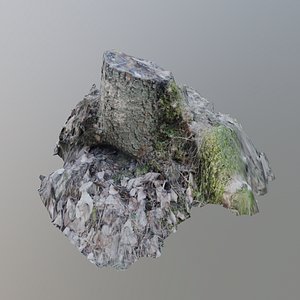 3D scanned stump