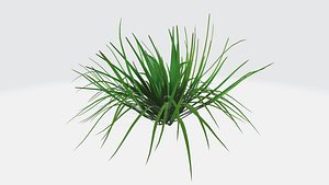 Tuft of Grass 3D model