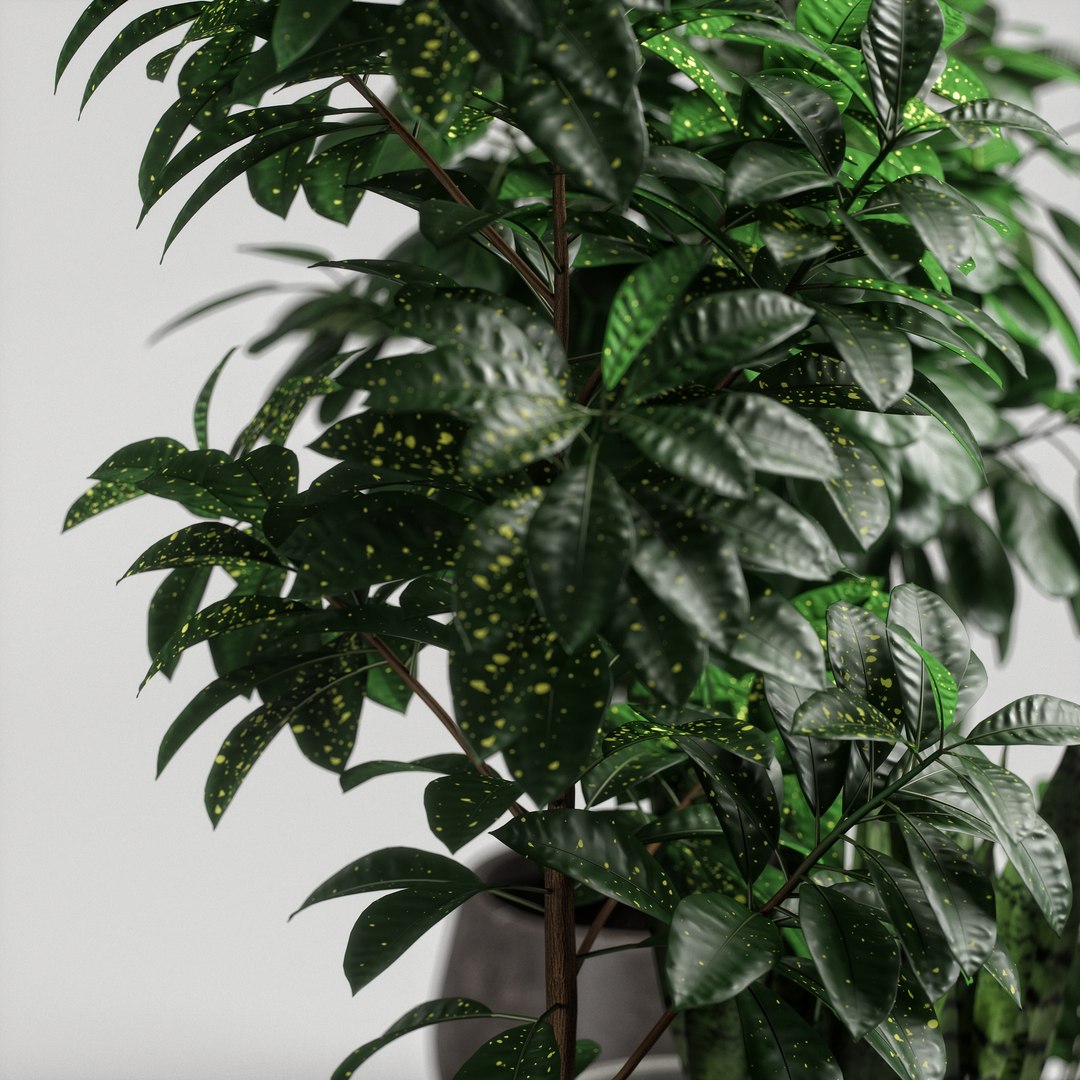 3D model plants set 10 https://p.turbosquid.com/ts-thumb/p1/aXw9xK/5LamOh2A/ps10_06/jpg/1569220734/1920x1080/fit_q87/8b9fc07f43c53bd07706ffddf8d364e554c7766b/ps10_06.jpg