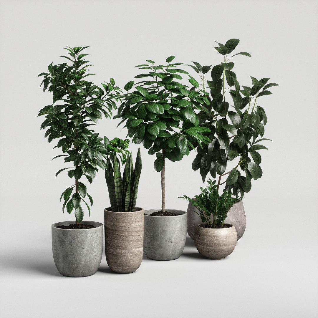3D model plants set 10 https://p.turbosquid.com/ts-thumb/p1/aXw9xK/AxDTn4ds/ps10_04/jpg/1569220706/1920x1080/fit_q87/010ee0792767f0e9e2a398f9524280b76b080d26/ps10_04.jpg