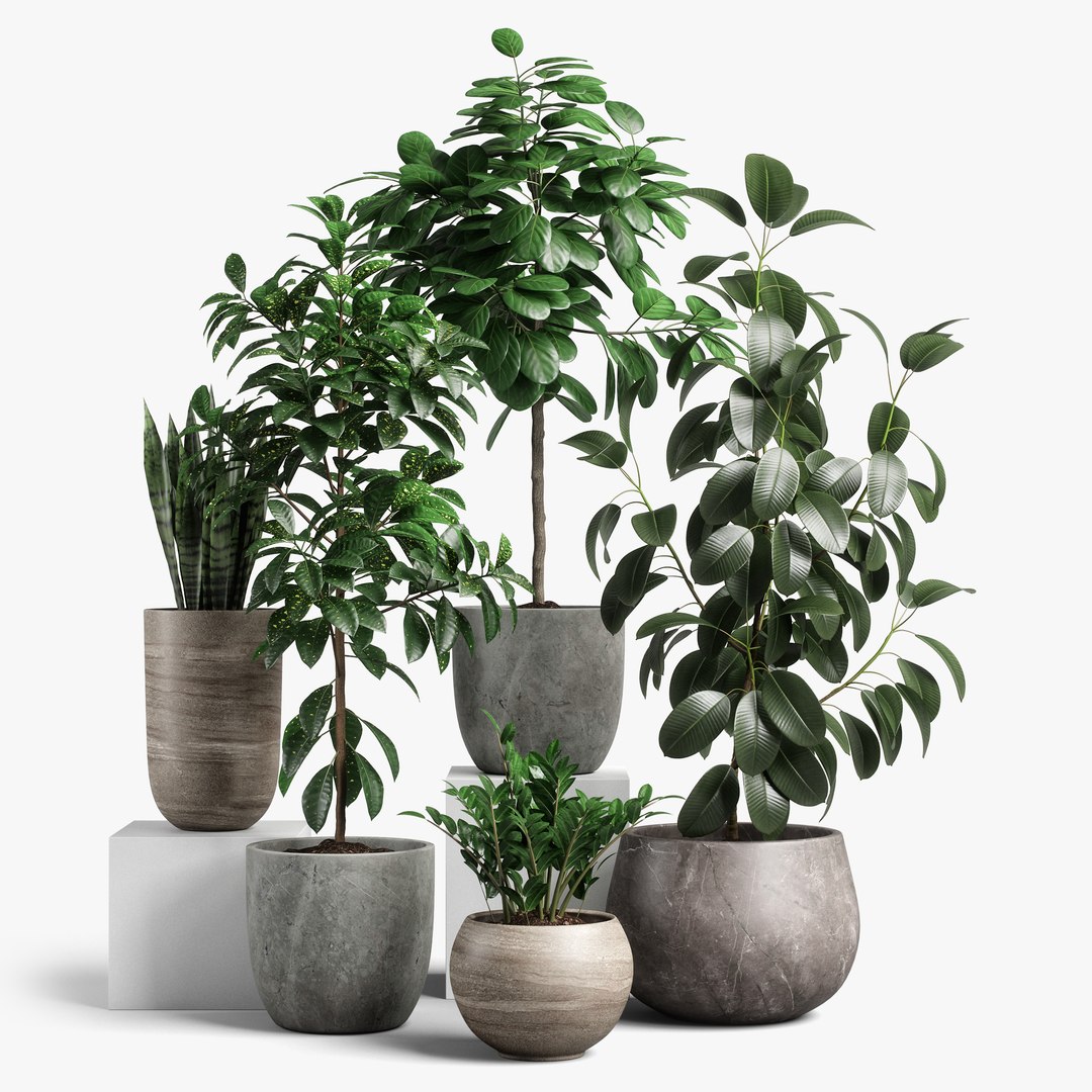 3D Model Plants Set 10 - TurboSquid 1451128