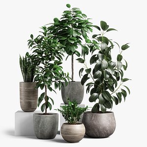 3D model plants set 10