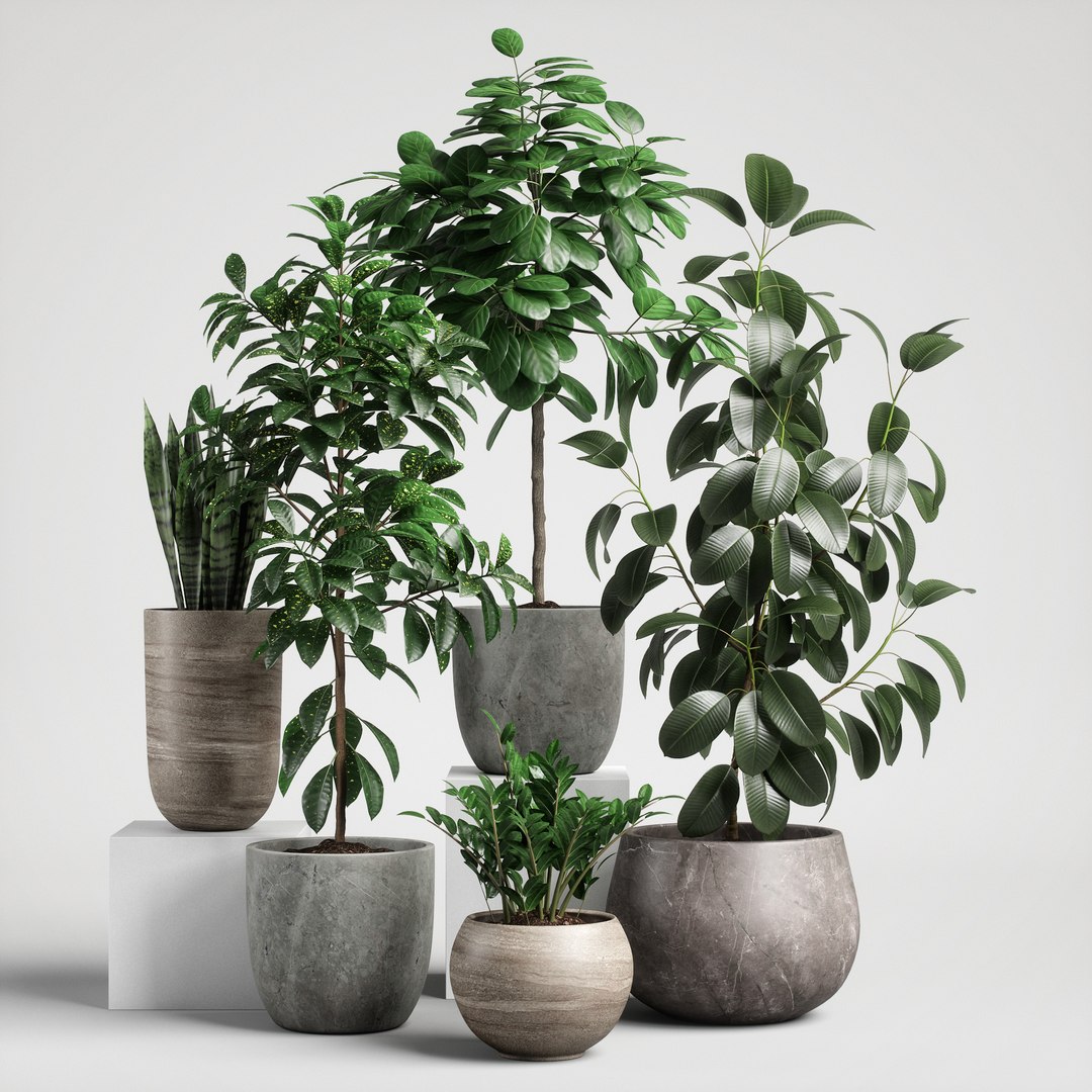 3D model plants set 10 https://p.turbosquid.com/ts-thumb/p1/aXw9xK/ZIAu3eNN/ps10_01/jpg/1569220662/1920x1080/fit_q87/52e61af06663554957623652492bb6a90a423acd/ps10_01.jpg