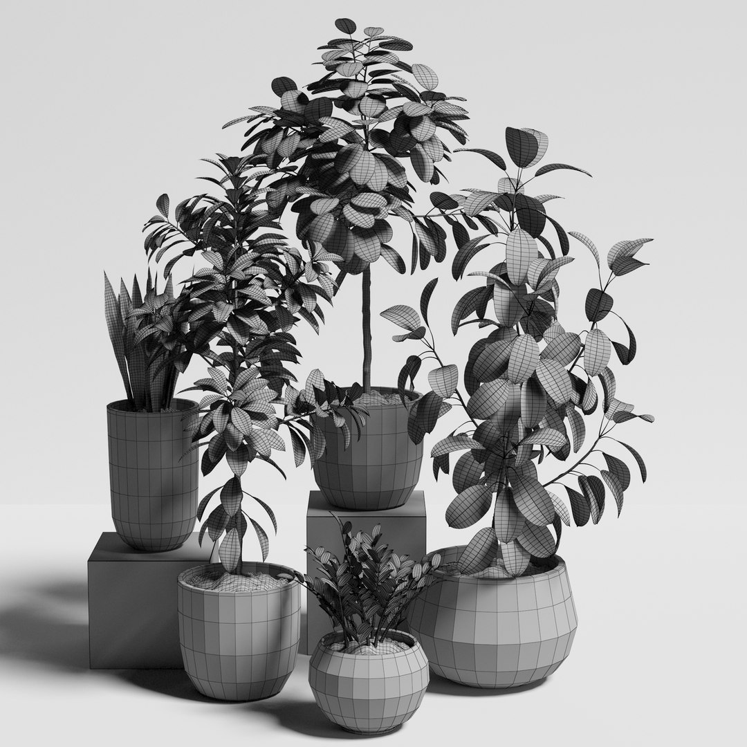3D model plants set 10 https://p.turbosquid.com/ts-thumb/p1/aXw9xK/f98CcUAN/ps10_08/jpg/1569220773/1920x1080/fit_q87/a8b3f54c8475a32105ac65f1fa2c447ed0ecfce8/ps10_08.jpg
