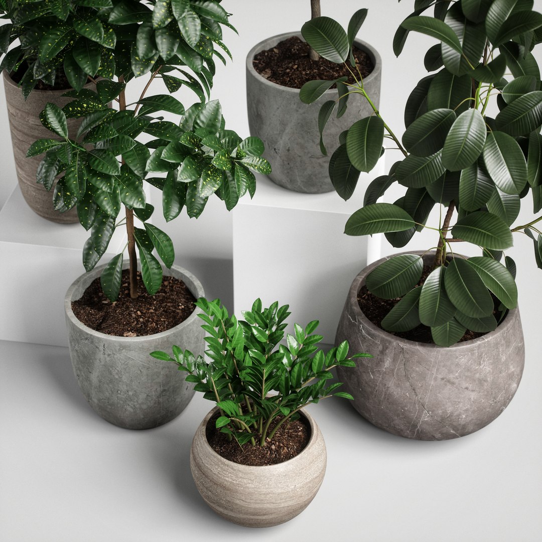 3D model plants set 10 https://p.turbosquid.com/ts-thumb/p1/aXw9xK/kRiXPfX4/ps10_05/jpg/1569220721/1920x1080/fit_q87/6192c2bf4ea667faa4220387ea864ec8b4071982/ps10_05.jpg