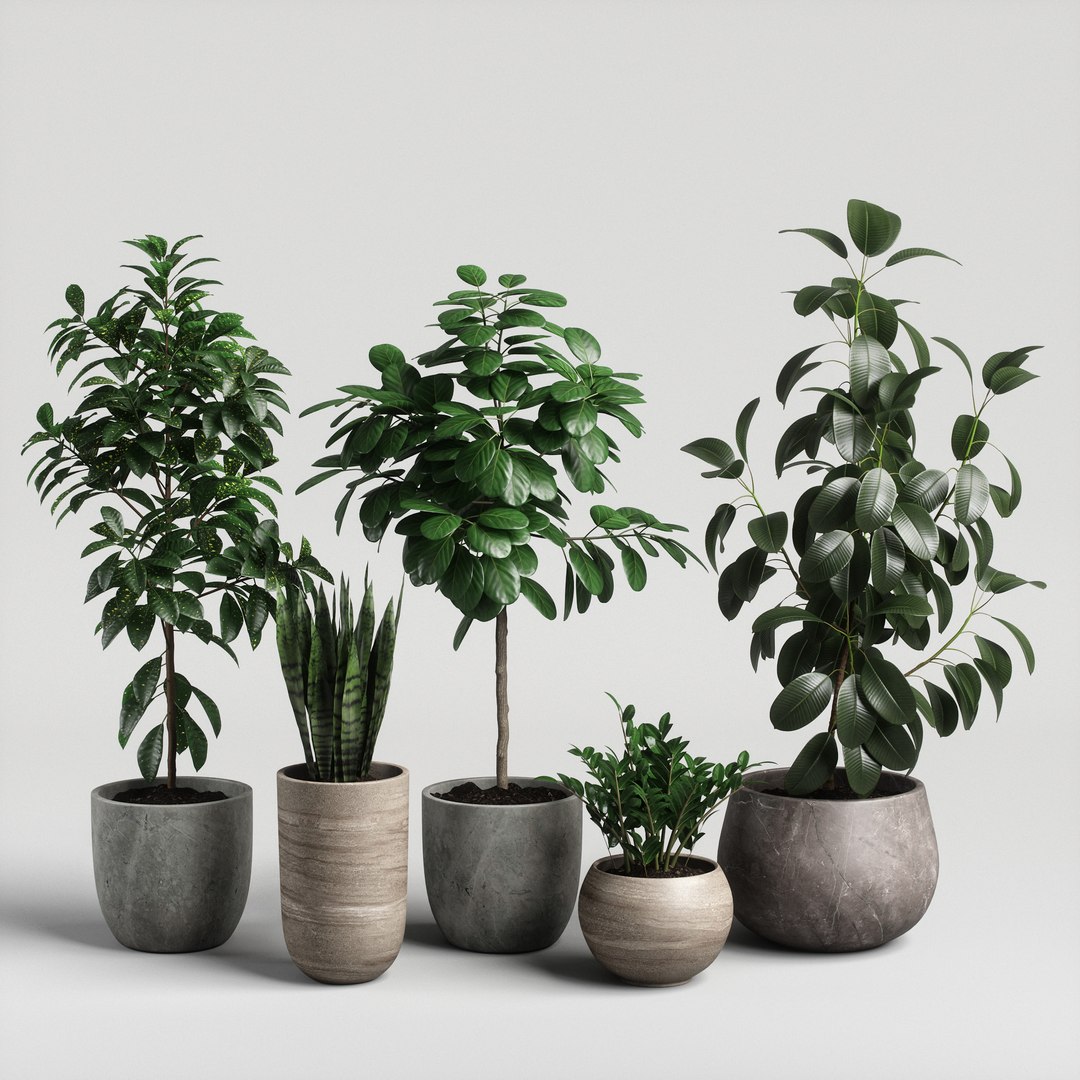 3D model plants set 10 https://p.turbosquid.com/ts-thumb/p1/aXw9xK/oSltDTC3/ps10_02/jpg/1569220676/1920x1080/fit_q87/f66425825df0ba61cd5820b4df93fdf4752f595f/ps10_02.jpg