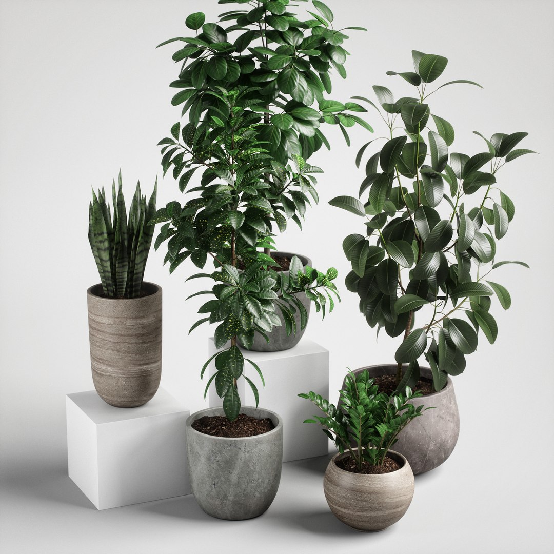 3D model plants set 10 https://p.turbosquid.com/ts-thumb/p1/aXw9xK/s9a5lbtJ/ps10_03/jpg/1569220691/1920x1080/fit_q87/4d7f4246a5b02ee39b0de0eaa8883b787cb58991/ps10_03.jpg