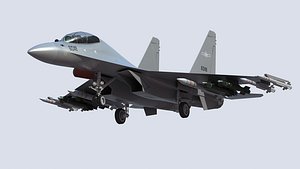 3D Chinese J-16 Fighter Jet model
