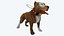 Diffuse Only Game Ready Pitbull