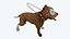 Diffuse Only Game Ready Pitbull