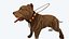 Diffuse Only Game Ready Pitbull