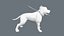 Diffuse Only Game Ready Pitbull