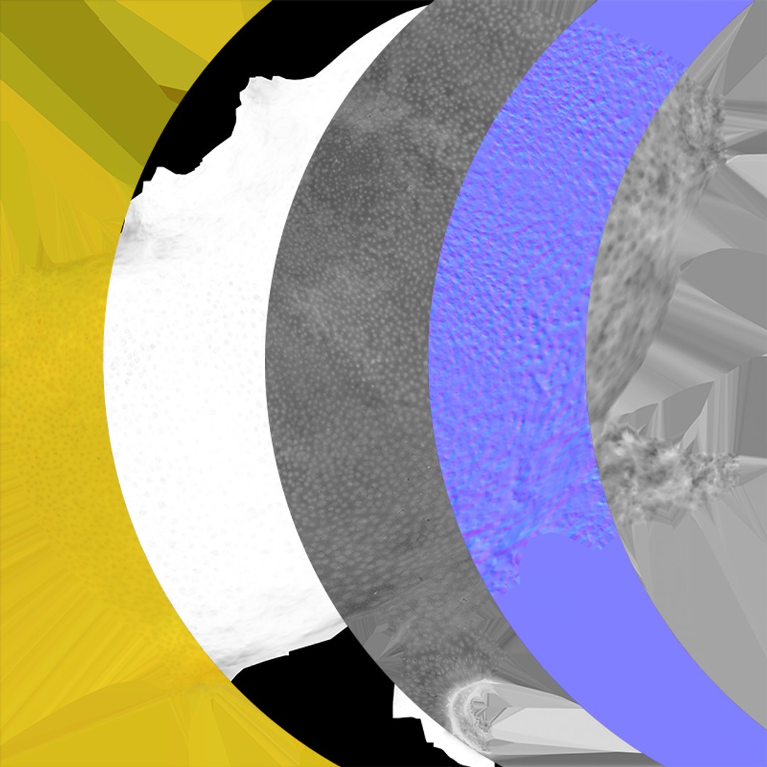 Whole Lemon 02 3D model https://p.turbosquid.com/ts-thumb/p1/zQSHb6/zS/lemonwhole2_c0005/png/1764404937/1920x1080/fit_q87/3658af66abc49578d93fe1624746cec96c28e95e/lemonwhole2_c0005.jpg